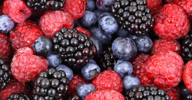 Joint Pain Can Be Avoided by Eating Raspberries