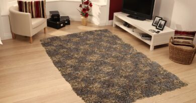 shaggy rugs for the room