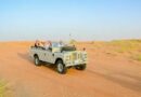 Best Desert Safari Providers in Dubai