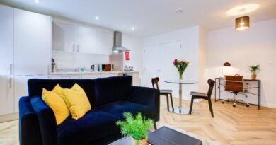 The Pros and Cons of Renting a Serviced Apartment 